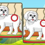 Dogs Spot The Differences 2