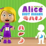 World of Alice   Body Organs